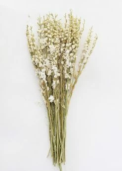Afloral Cream Dried Larkspur Wildflowers - 23-26" Dried Flowers
