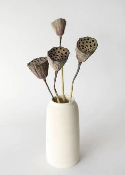 Afloral Bundle Of 2 Dried Lotus Pods - 25-28