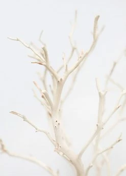 Afloral Dried Flowers Dried Decor Sandblasted Manzanita Branch - 34-38