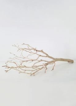 Afloral Dried Flowers Dried Decor Sandblasted Manzanita Branch - 34-38"