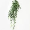 Afloral Artificial Plants Hanging Button Leaf Plant - 40"