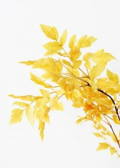 Afloral Fake Cimicifuga Ramosa Fall Leaves - 31"