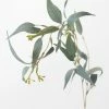 Afloral Artificial Seeded Eucalyptus Leaves - 23"