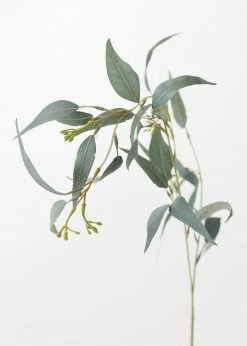 Afloral Artificial Seeded Eucalyptus Leaves - 23"
