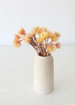 Afloral Dried Peach Silver Daisy Flowers - 10-13
