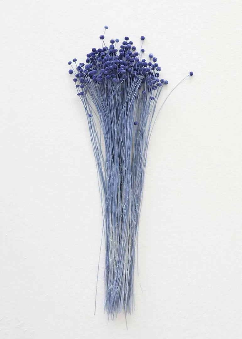 Afloral Petite Blue Dried Floral Buttons - 9-14"