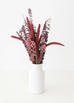 Afloral Dried Flowers Burgundy Preserved Spiral Eucalyptus - 17-24