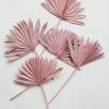 Afloral.com Bundle Of 5 Afloral Desert Pink Sun Palms - 18-24"