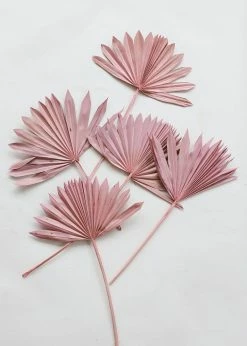 Afloral.com Bundle Of 5 Afloral Desert Pink Sun Palms - 18-24"