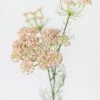 Afloral Artificial Flowers Faux Dill Wildflowers In Pink - 35"