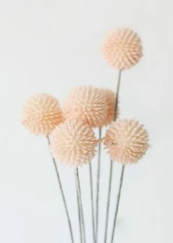 Afloral Artificial Craspedia Billy Buttons In Pink - 21
