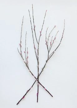 Afloral Preserved Pink Pussy Willow Branches - 20-28"