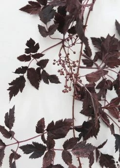 Afloral Artificial Plants Plum Cimicifuga Seeded Garland - 6'