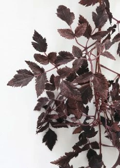 Afloral Artificial Plants Plum Cimicifuga Seeded Garland - 6'