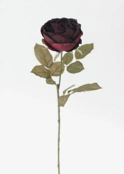 Afloral Eggplant Silk English Cabbage Rose - 25"