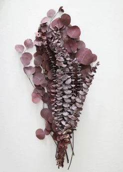 Afloral Burgundy Preserved Mixed Eucalyptus Bundle - 22-32"