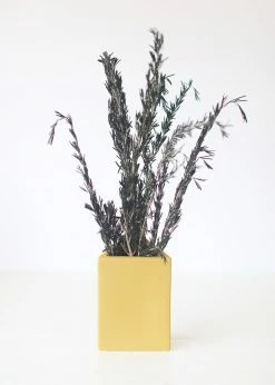 Afloral Dried Flowers Preserved Rosemary Greenery - 18-28