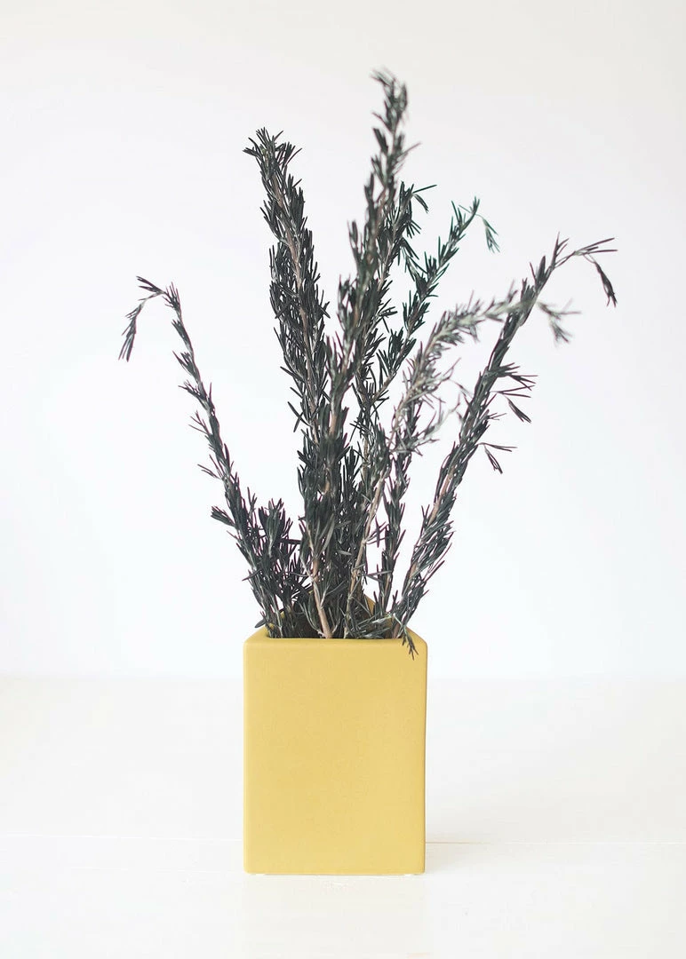 Afloral Dried Flowers Preserved Rosemary Greenery - 18-28"