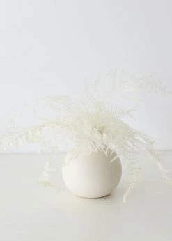 Afloral Dried Flowers Bundle Of 10 Bleached Preserved Ferns - 16-20