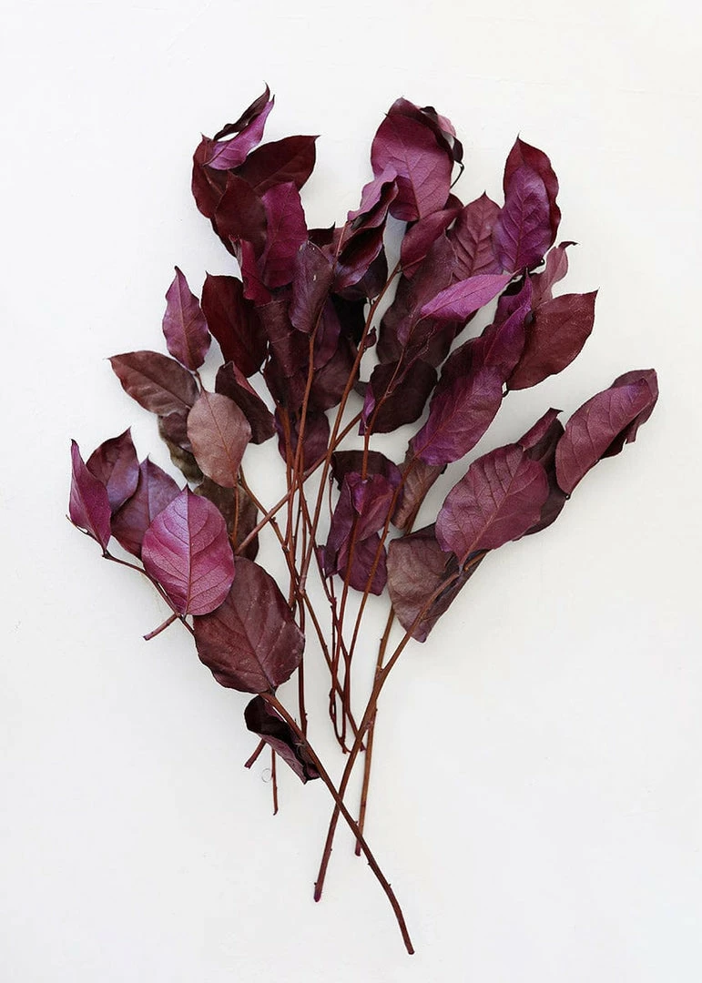 Afloral Dried Flowers Purple Preserved Salal Leaves - 12-20"