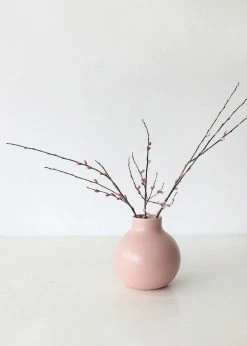 Afloral Preserved Pink Pussy Willow Branches - 20-28"