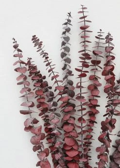 Afloral Cayenne Red Preserved Spiral Eucalyptus - 19-24" Dried Flowers