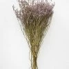 Afloral Natural Dried Purple Statice Flowers - 18-24" Dried Flowers
