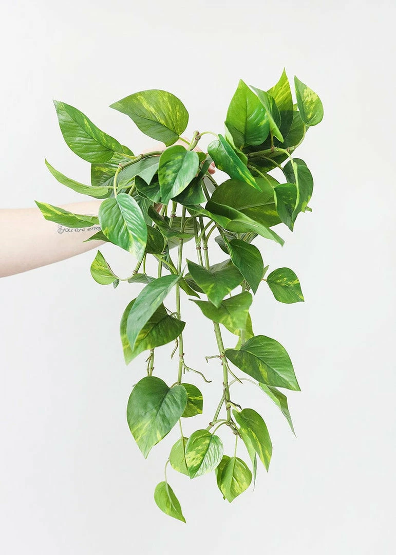 Afloral Real Touch Hanging Pothos Fake Plant - 22"