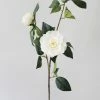 Afloral Real Touch Camellia Roses In Cream White - 35" Artificial Flowers