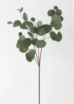 Afloral Artificial Plants Real Touch Silver Dollar Eucalyptus - 30"