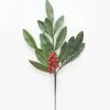 Afloral Fake Outdoor Bay Leaf Pick - 16.5"