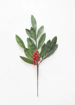 Afloral Fake Outdoor Bay Leaf Pick - 16.5"