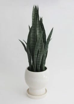 Afloral Vases Ceramic Pot With Saucer And Drainage - 11"