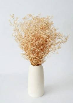 Afloral Dried Flowers Preserved Natural Gypsophila Flowers - 10-28"