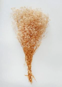 Afloral Dried Flowers Preserved Natural Gypsophila Flowers - 10-28