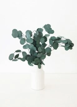 Afloral Everyday Flower Vase In White - 9