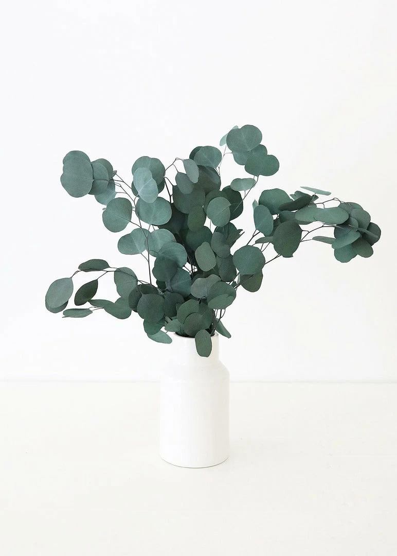 Afloral Everyday Flower Vase In White - 9"