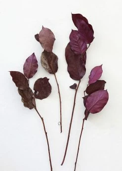 Afloral Dried Flowers Purple Preserved Salal Leaves - 12-20