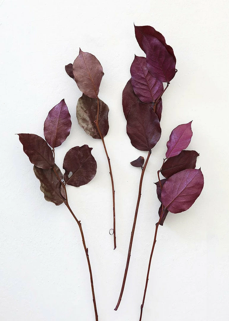 Afloral Dried Flowers Purple Preserved Salal Leaves - 12-20"