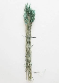 Afloral Sea Blue Dried Bunny Tails - 22-30" Dried Flowers