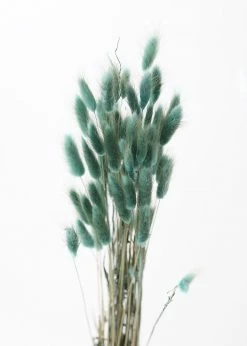 Afloral Sea Blue Dried Bunny Tails - 22-30