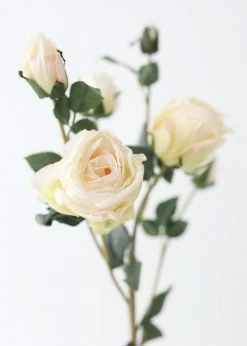 Afloral Faux Dried Rose In Cream - 27.5