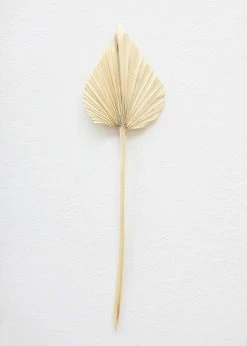 Afloral Dried Flowers Bundle Of 10 Bleached Dried Palm Spears - 14-20"