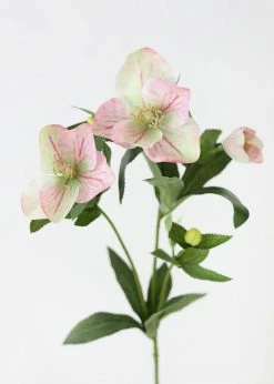 Afloral Light Pink Helleborus Artificial Flowers - 25"