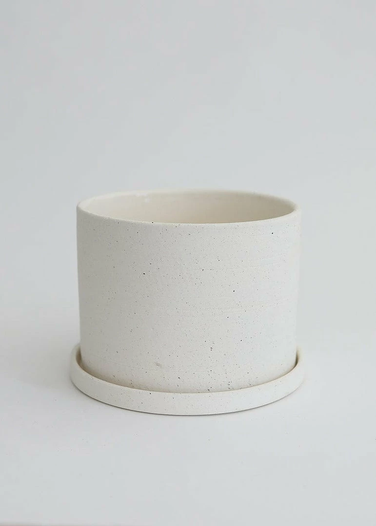 Afloral Speckled Ceramic Pot With Saucer - 5.5"