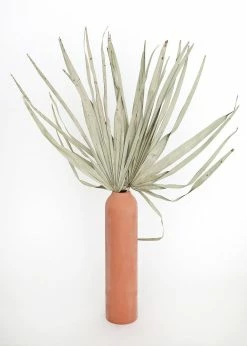 Bundle Of 5 Afloral Dried Skinny Sun Palms - 26-32