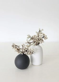 Afloral Dried Flowers White Natural Dried Tallow Berries - 6-8