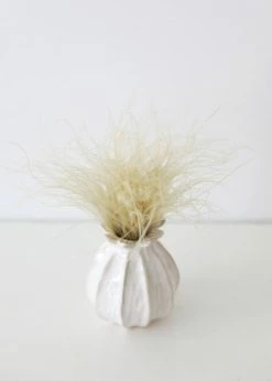 Afloral Off-White Ornamental Feather Grass - 8-12