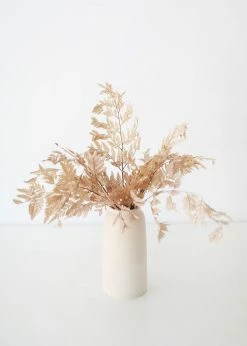 Afloral Bundle Of 10 Preserved Taupe Flat Ferns - 16-20