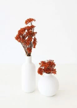 Afloral Dried Flowers Terracotta Preserved Rice Flower - 18-26"